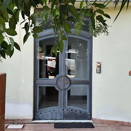 La Gerbera * Salerno